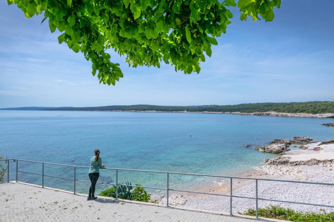 Apartment Dobric Koromačno エクステリア 写真