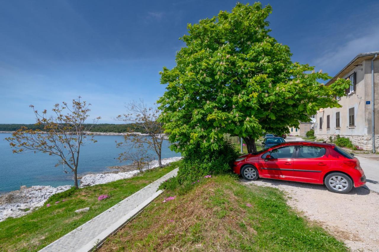Apartment Dobric Koromačno エクステリア 写真
