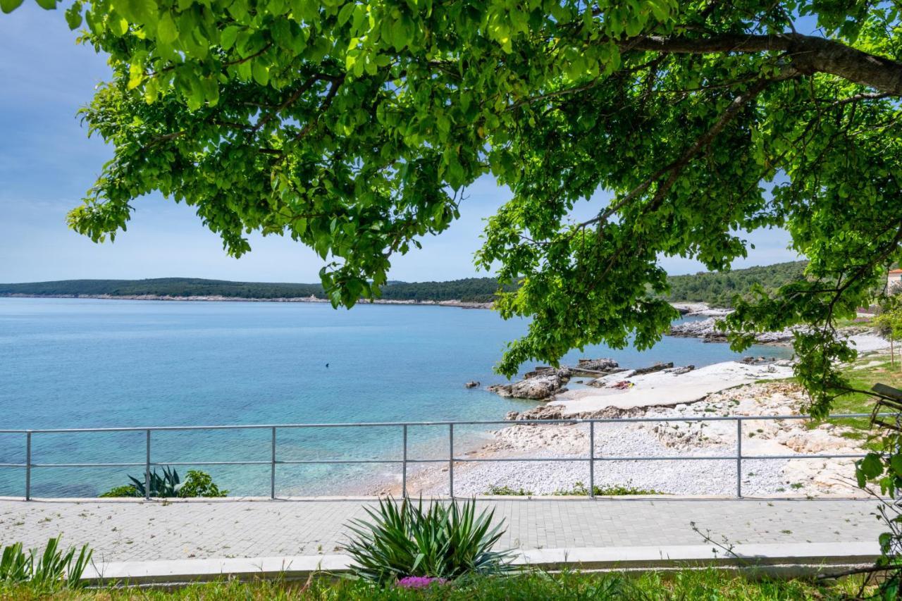 Apartment Dobric Koromačno エクステリア 写真