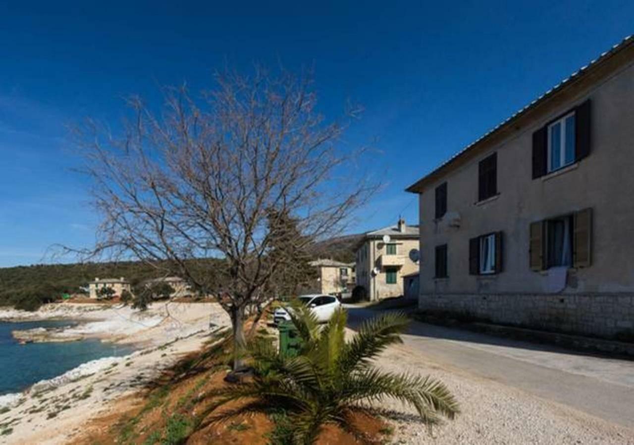 Apartment Dobric Koromačno エクステリア 写真
